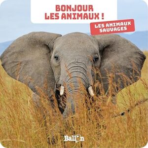 Bonjour les animaux : Les animaux sauvages